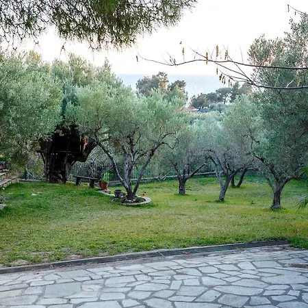Kastri Treehouse Nikiti (Sithonia)