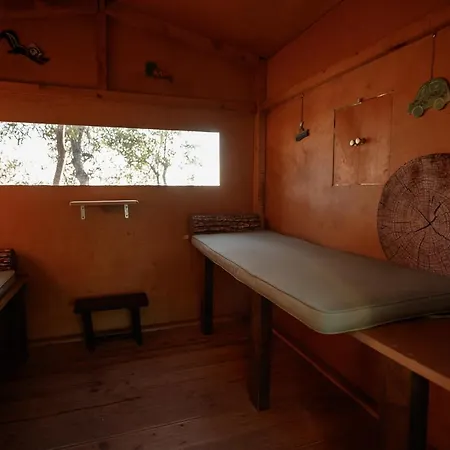 Kastri Treehouse Nikiti (Sithonia)