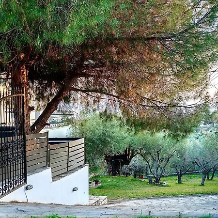 Kastri Treehouse דירה ניקיטי