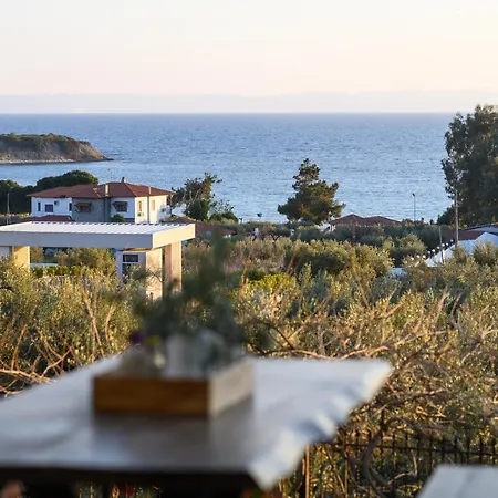 Kastri Treehouse Apartment Nikiti (Sithonia)