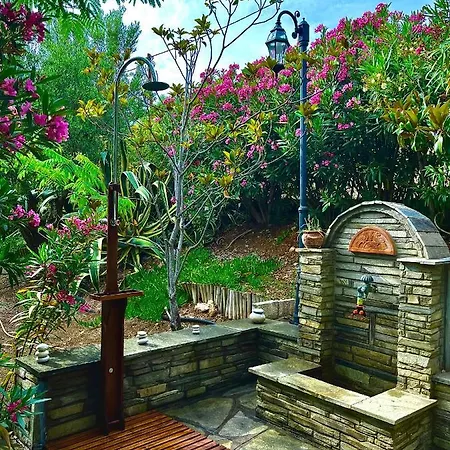 Kastri Treehouse Nikiti (Sithonia)