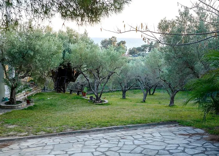 Kastri Treehouse Nikiti (Sithonia)