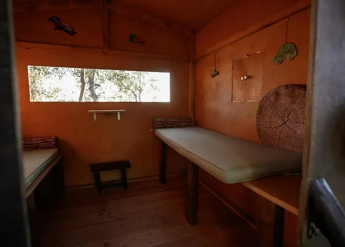 Kastri Treehouse Nikiti (Sithonia)